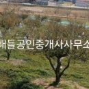 고금면사무소 이미지