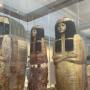 티켓투어(주) 이미지