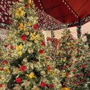 신세계백화점센텀시티 이미지