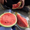 우곡농로 이미지