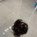 어울림미장원