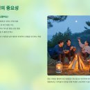 이온데코레이션 | 밤을 밝히는 감성! ✨ 캠핑 조명 끝판왕 추천 BEST 5