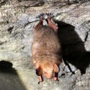 인제메디칼 이미지