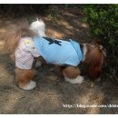아카 - 해운대구 구남로41번길 35 | 아카