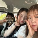 강지현한국어