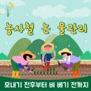 모  전 | 농사철 논 물관리 : 모 심기 전후 및 중기 후기 벼 베기 전까지