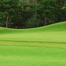 금일프라자 이미지