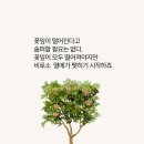 웃음치료사 양성반 이미지
