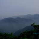 봉의농장 이미지