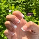 네일러그 이미지