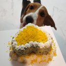 대손협동조합 이미지