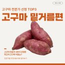 풍농비료군산대리점 | 고구마 밑거름 6가지! 농사 고수 3인이 직접 선정한 최고의 고구마 비료는?