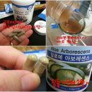 허브디톡스다이어트