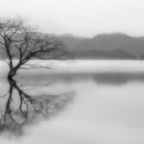 디제이다방 이미지