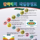 자동차매직칼라매치