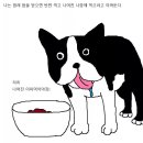 개밥도둑