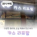카스리프팜(CASReeffarm) | [경기/부천] 다양한 해수어, 도심 속에서 만난 바다 ‘카스 리프팜’ 내돈내산 방문기