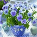 디유삼