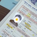 안양시청내 지하주차장 | 20개월 아기 여권 발급 준비물 총정리 우편수령 3일 후기