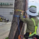 수원-1874 이미지