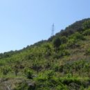 회성동102 이미지