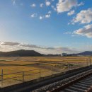 대천역 관광안내소 이미지