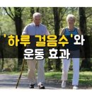 10년 동안 65세이상 노인의 걸음수와 운동효과를 측정한 결과 이미지