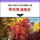 금호산 유아숲체험원 이미지