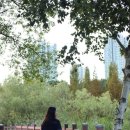 노작공원(오산천변) 이미지