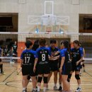 홍천해당화 이미지