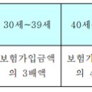 사망보험금[홈런인생보험, 판매개시일:1994년 10월 10일] 이미지