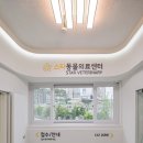스타동물의료센터 네이버블로그