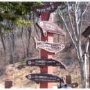 솔마루길 신선산 이미지