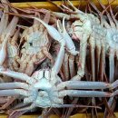 수원-0184 이미지