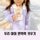 어린이홍삼 키즈음료 브랜드 추천