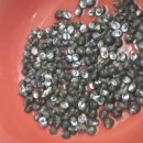 어부손씨민박 이미지