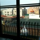 롯데백화점 신축 이미지