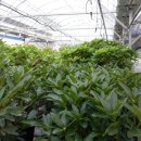 모악농장 이미지