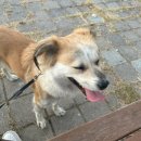 365일카센타 이미지