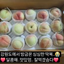 용천농원 이미지