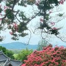 칠곡상회부산