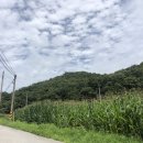 주식회사장원정보통신 네이버블로그