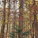 한국폴리텍 V 대학 광주캠퍼스 이미지