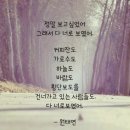 + 이승철 ☆ 사랑하고 싶은날 ~♡° 이미지