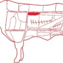 암소제비추리 이미지