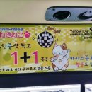 마네키네코노래연습장 이미지