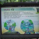 브라우니펜션 이미지