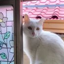 설희민박 이미지