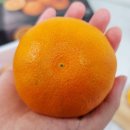 금향 - 창원시 마산합포구 월영동북로 12 | 금향