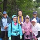 남명초교 이미지